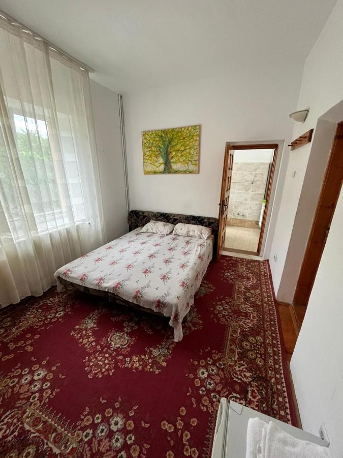 Sărata-Monteoru Casa Lorena מראה חיצוני תמונה